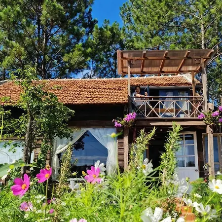 Romantic House On A Pine Hill Dalat Exterior photo
