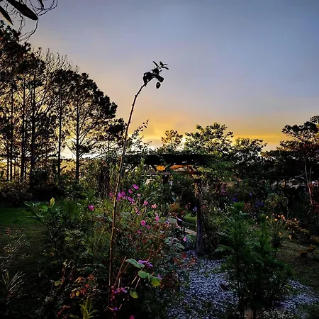 Romantic House On A Pine Hill Dalat Exterior photo