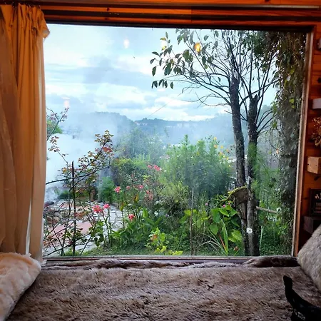 Romantic House On A Pine Hill Dalat Exterior photo