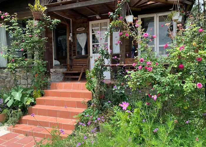 Romantic House On A Pine Hill Dalat