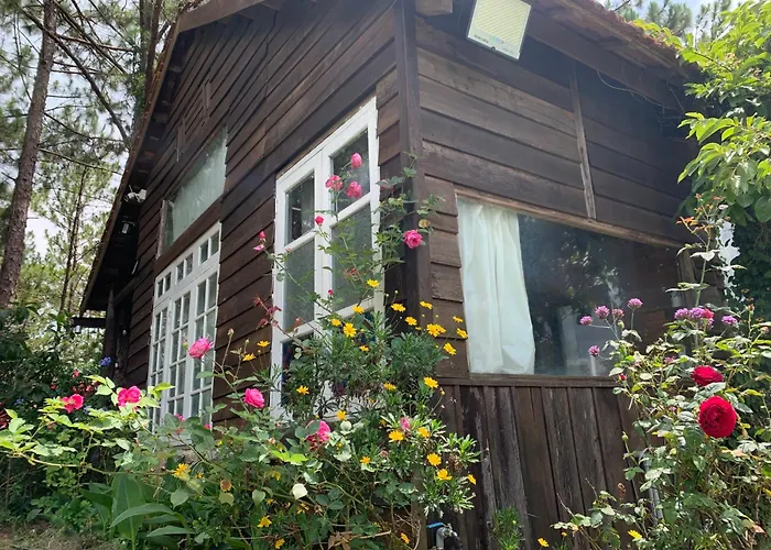 Romantic House On A Pine Hill Dalat