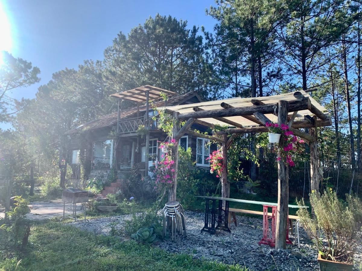 Romantic House On A Pine Hill * Da Lat