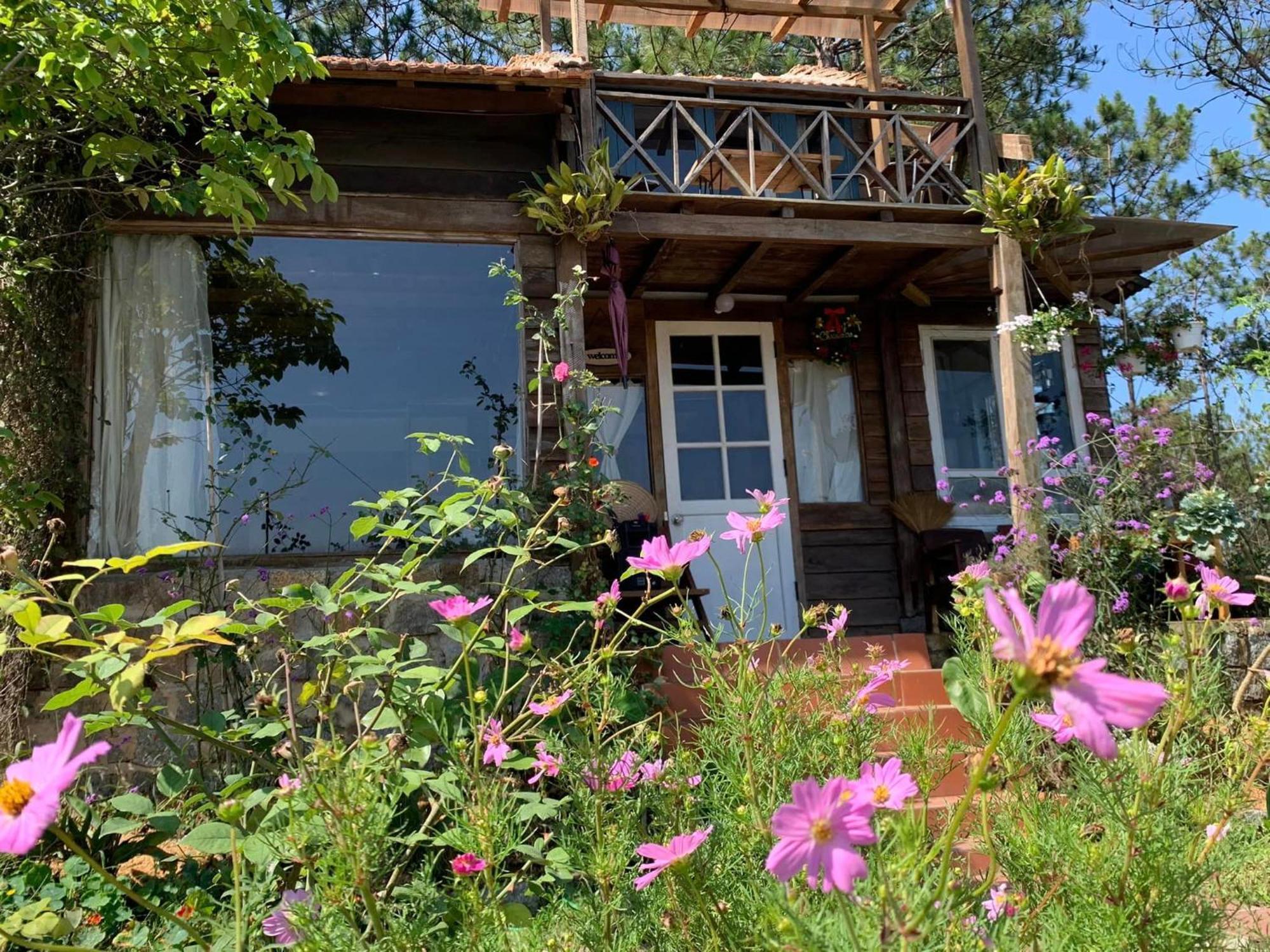 Chalet Romantic House On A Pine Hill *
