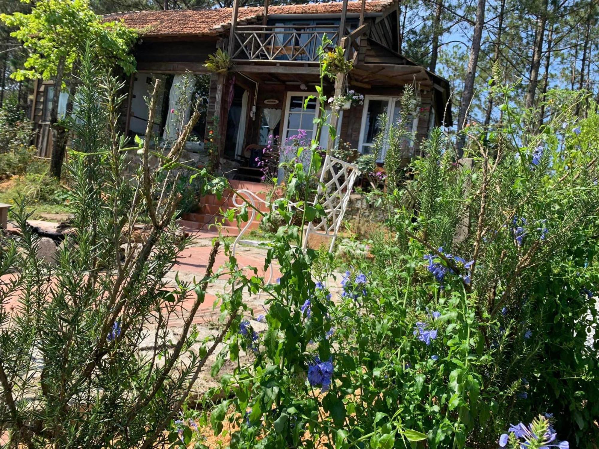 Romantic House On A Pine Hill