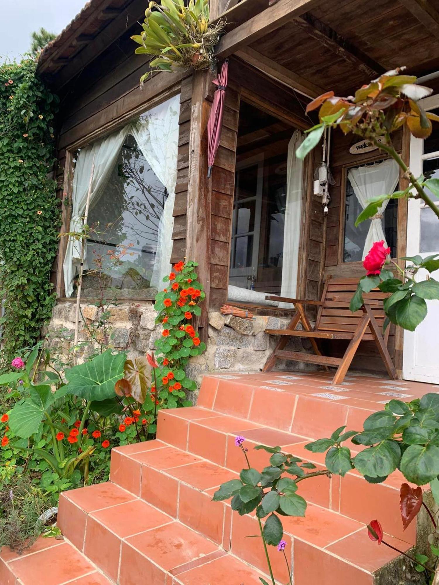 Romantic House On A Pine Hill