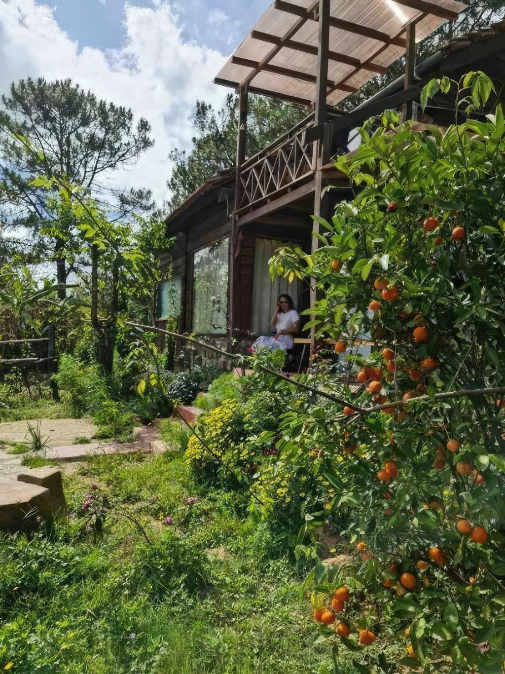 Chalet Romantic House On A Pine Hill Da Lat