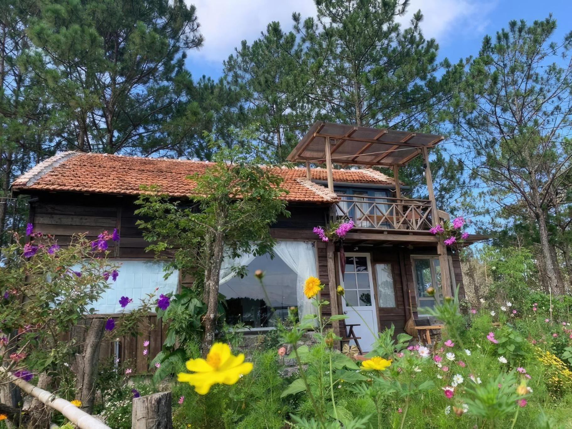 Romantic House On A Pine Hill * Da Lat