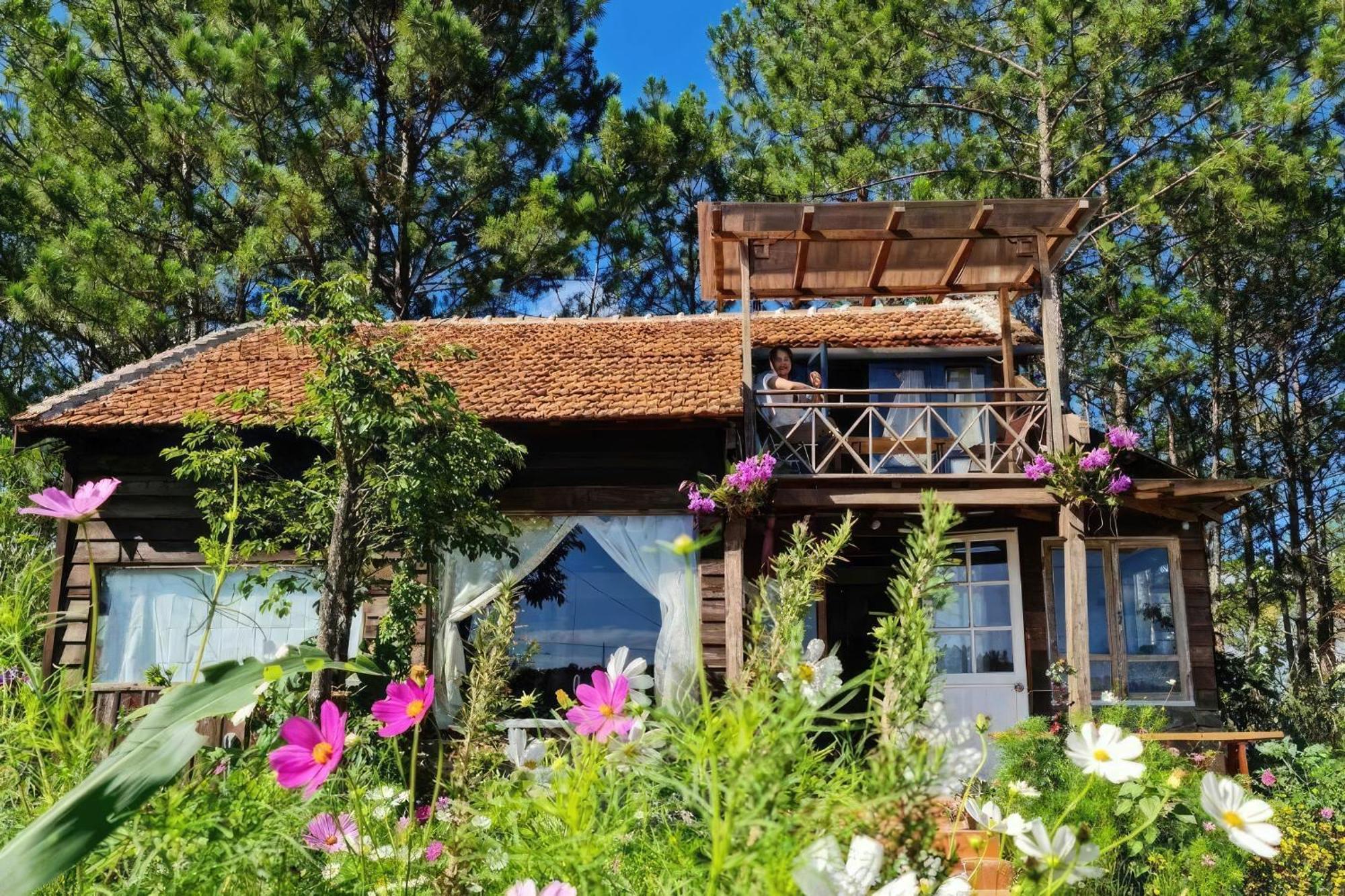 Romantic House On A Pine Hill