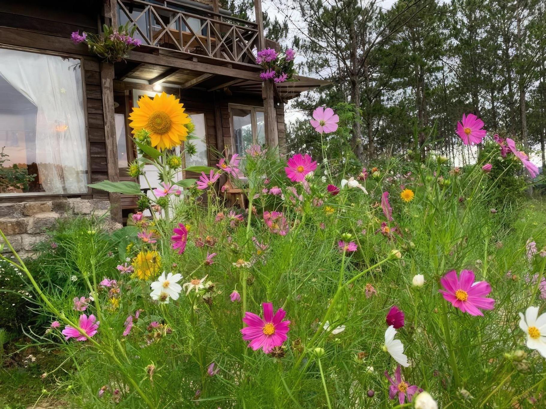 Romantic House On A Pine Hill * Da Lat
