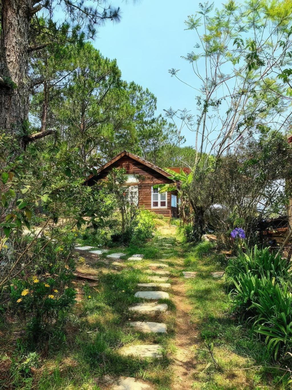 Chalet Romantic House On A Pine Hill