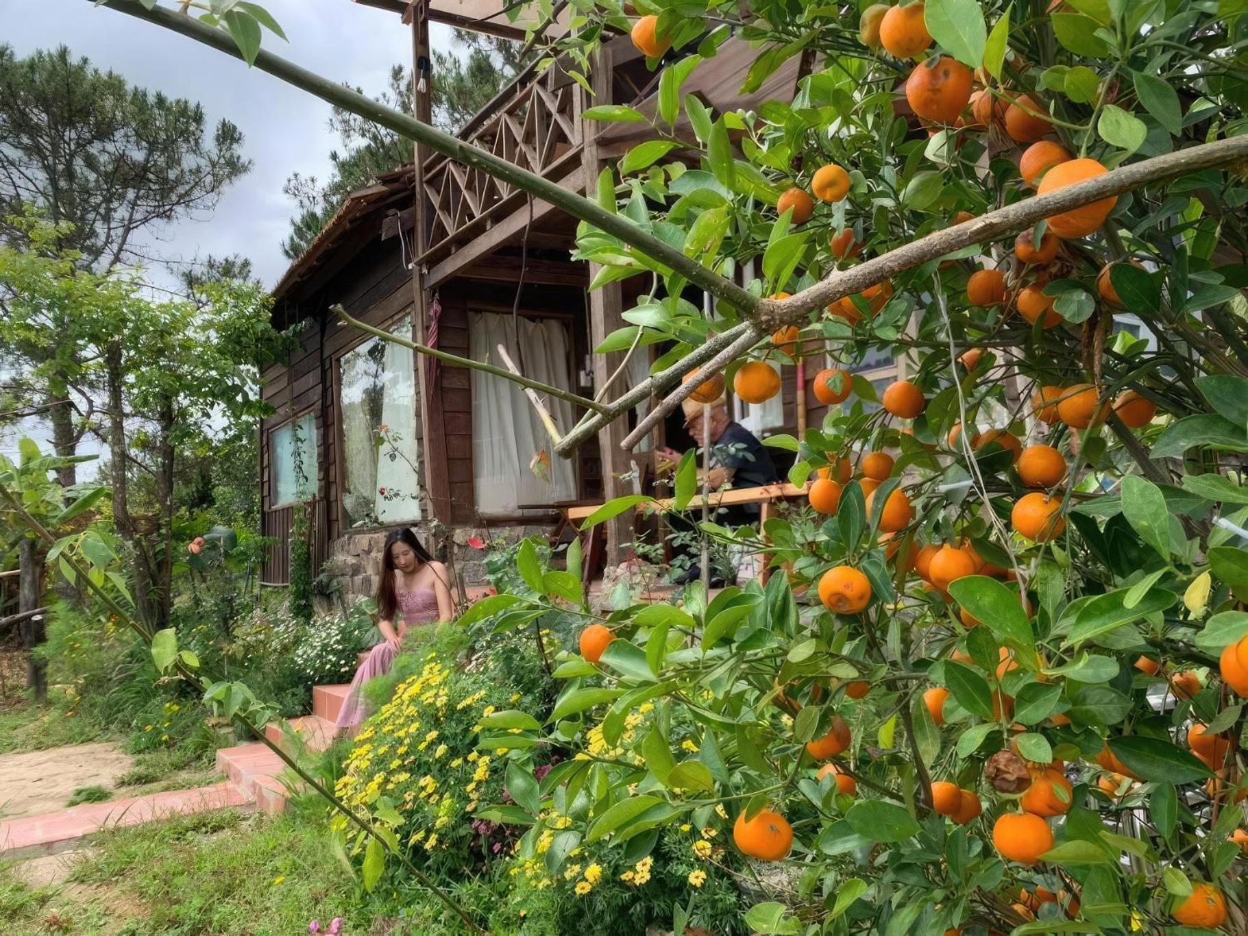 Romantic House On A Pine Hill Da Lat