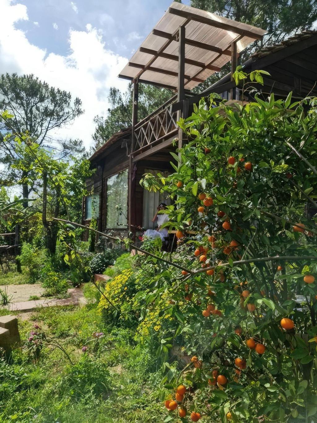 Romantic House On A Pine Hill Chalet Da Lat
