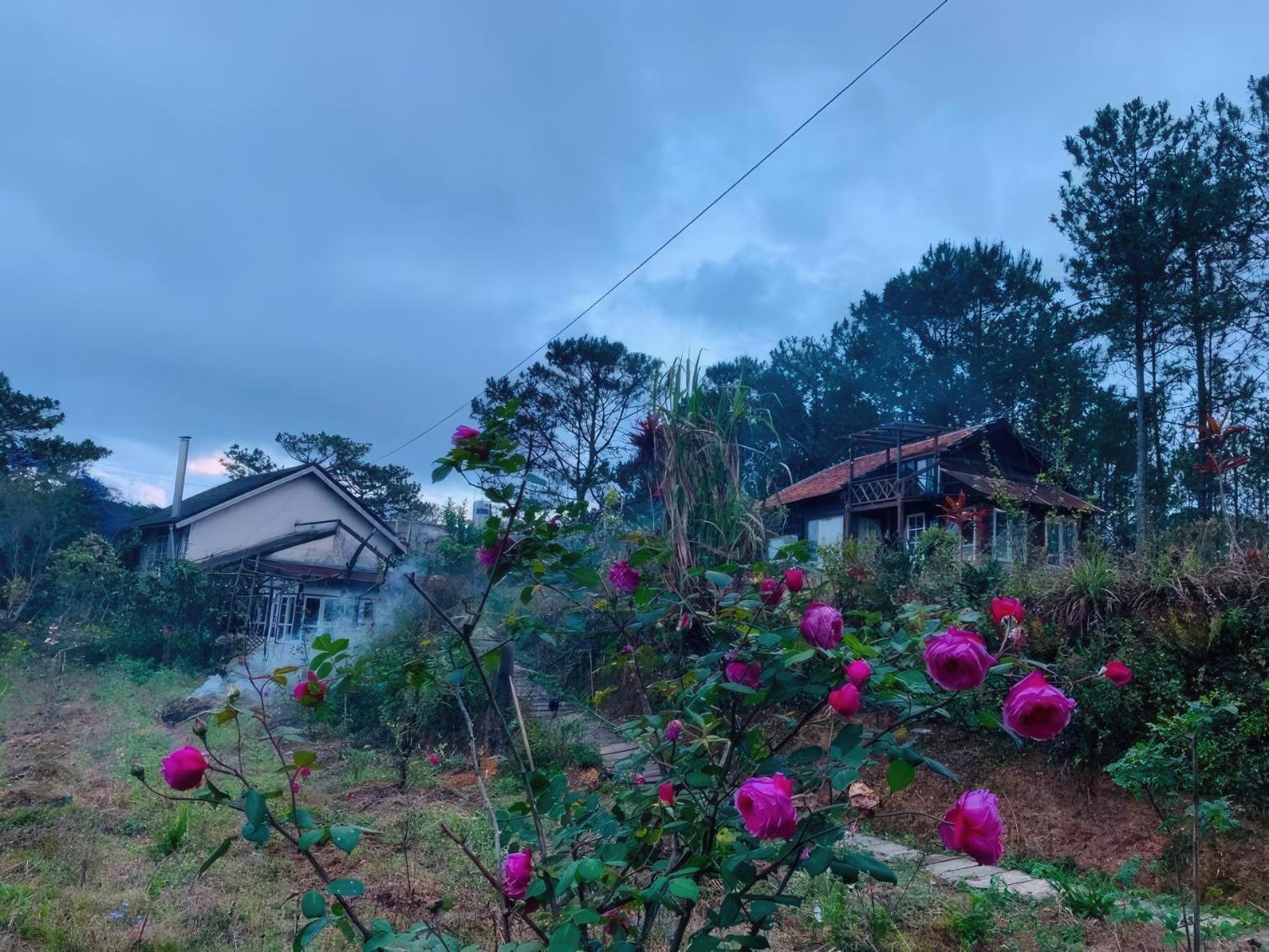 Romantic House On A Pine Hill Chalet *