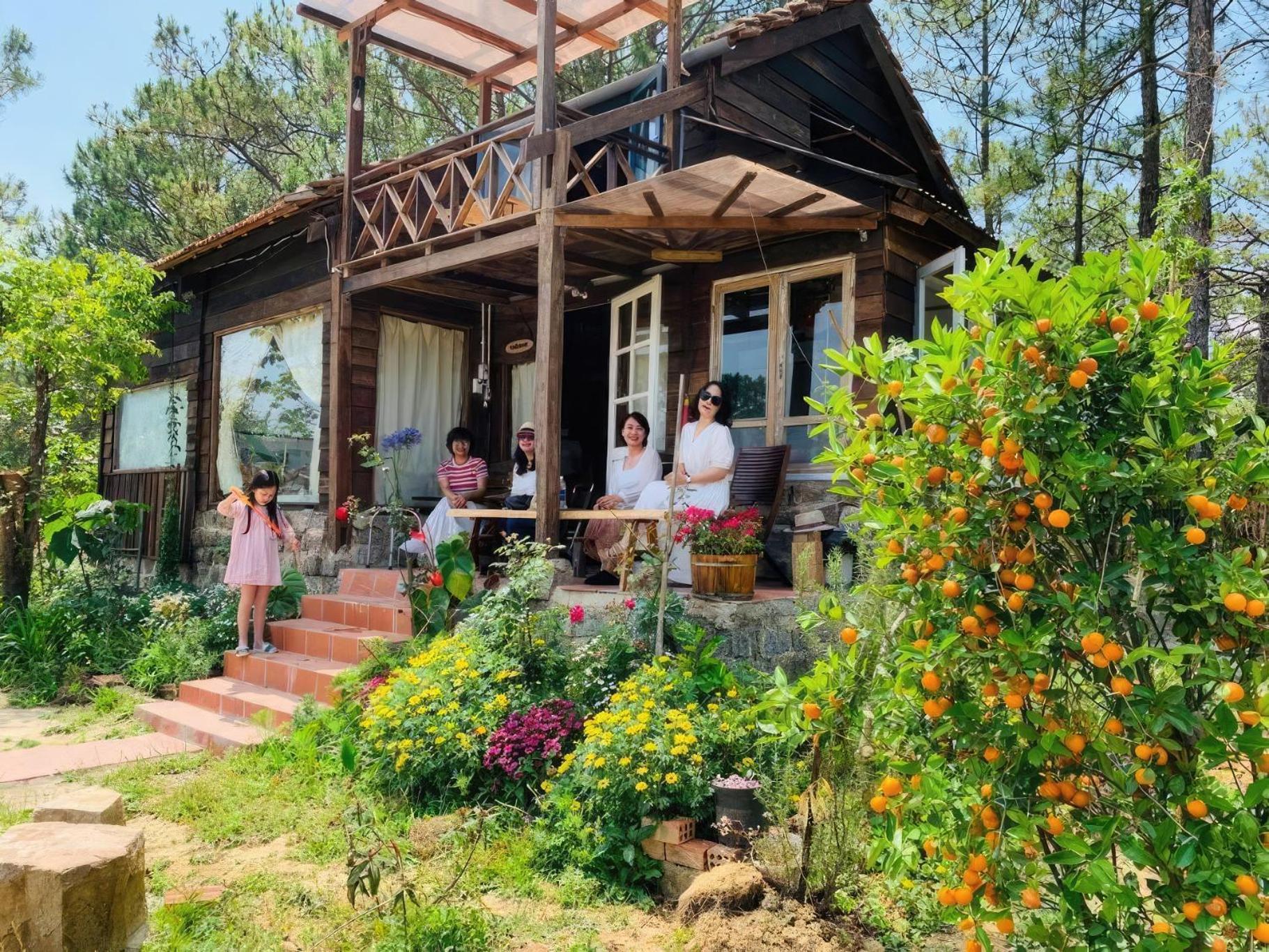 Romantic House On A Pine Hill Chalet *