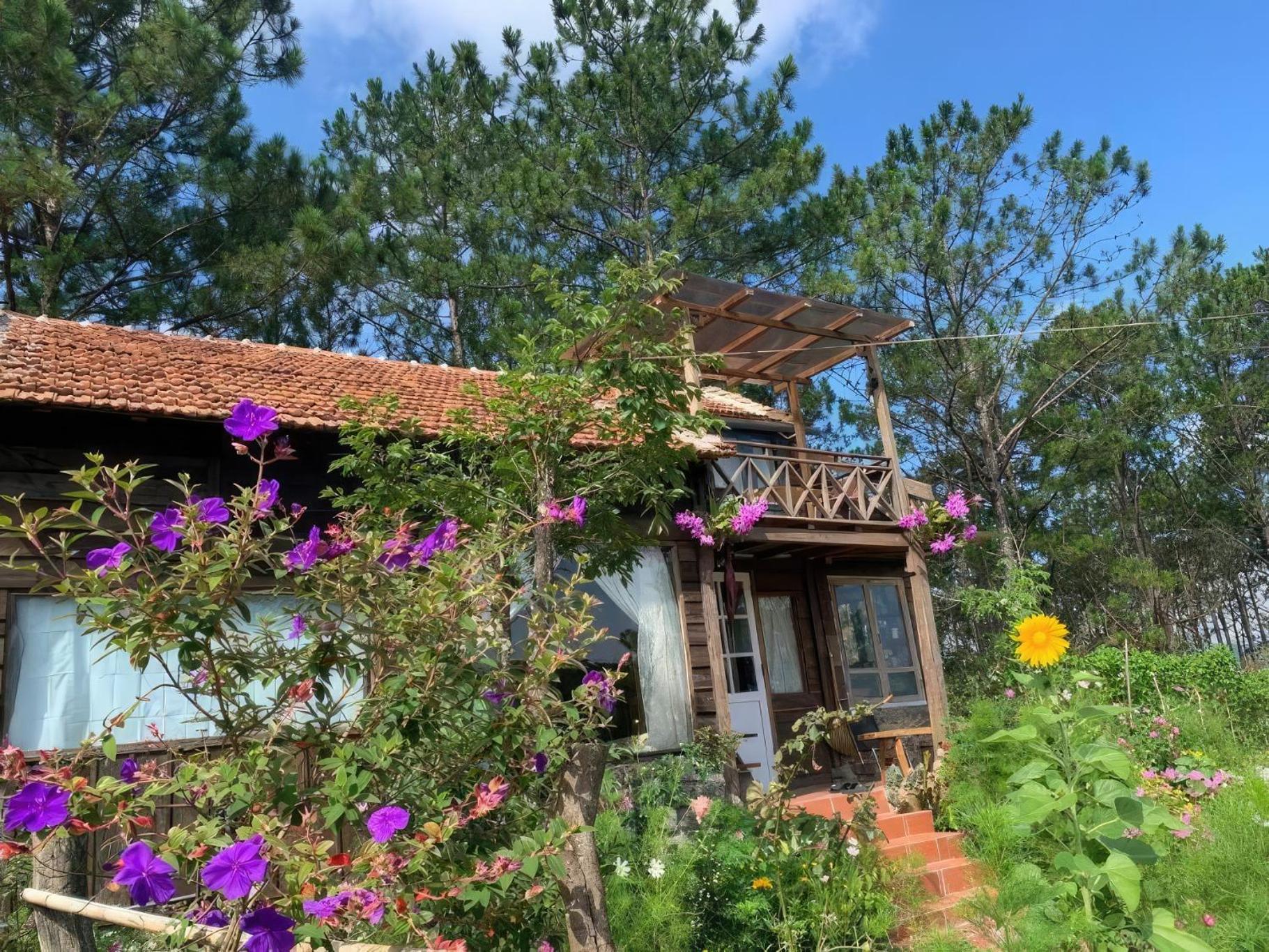 Chalet Romantic House On A Pine Hill Da Lat