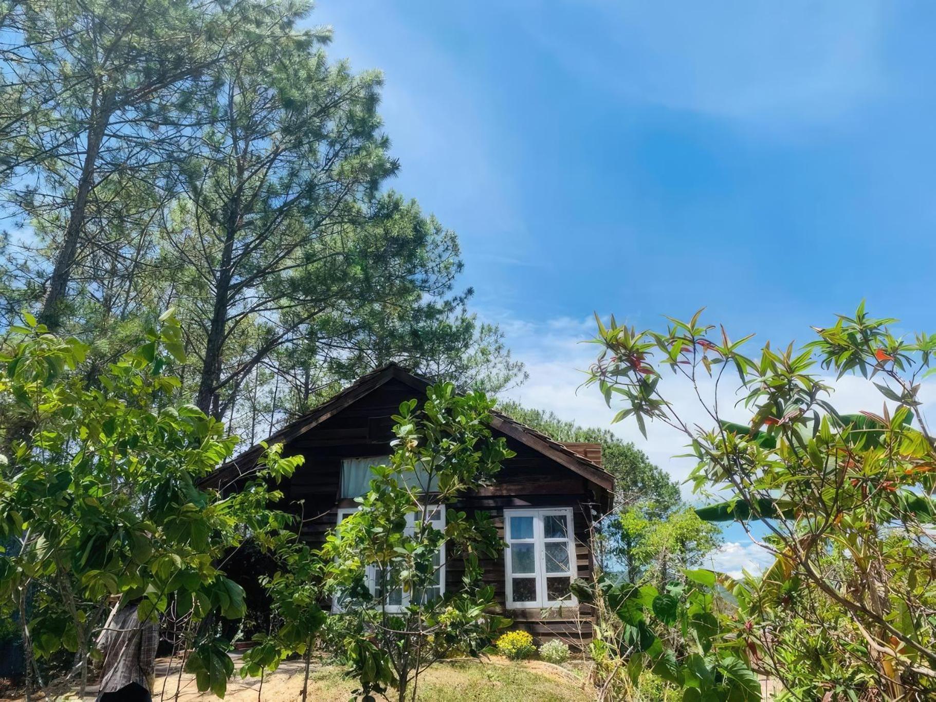 Romantic House On A Pine Hill * Da Lat