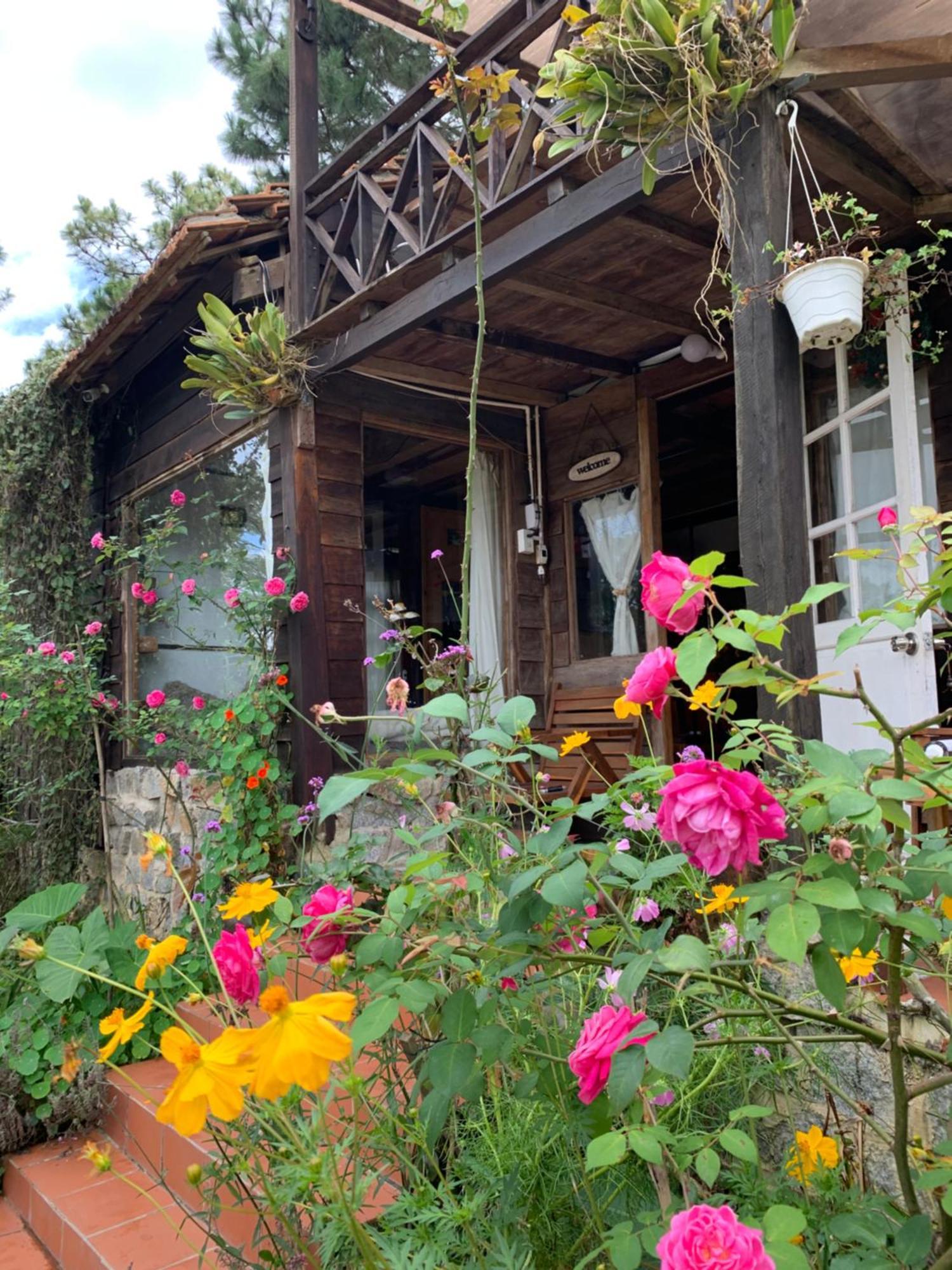Romantic House On A Pine Hill *