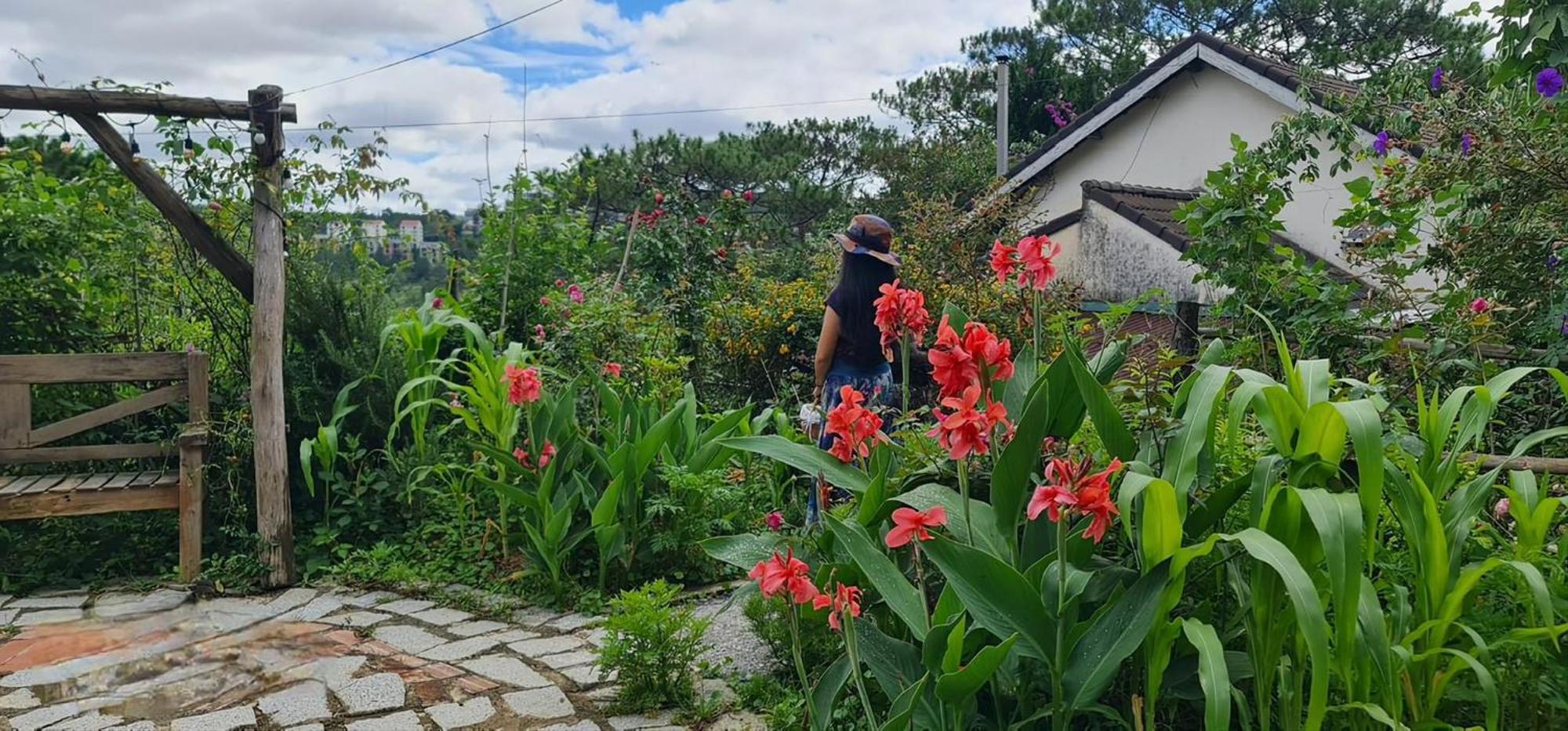 Romantic House On A Pine Hill Da Lat