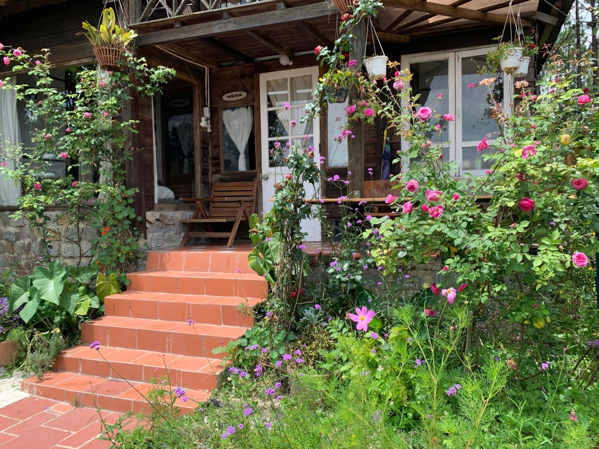 Romantic House On A Pine Hill Da Lat