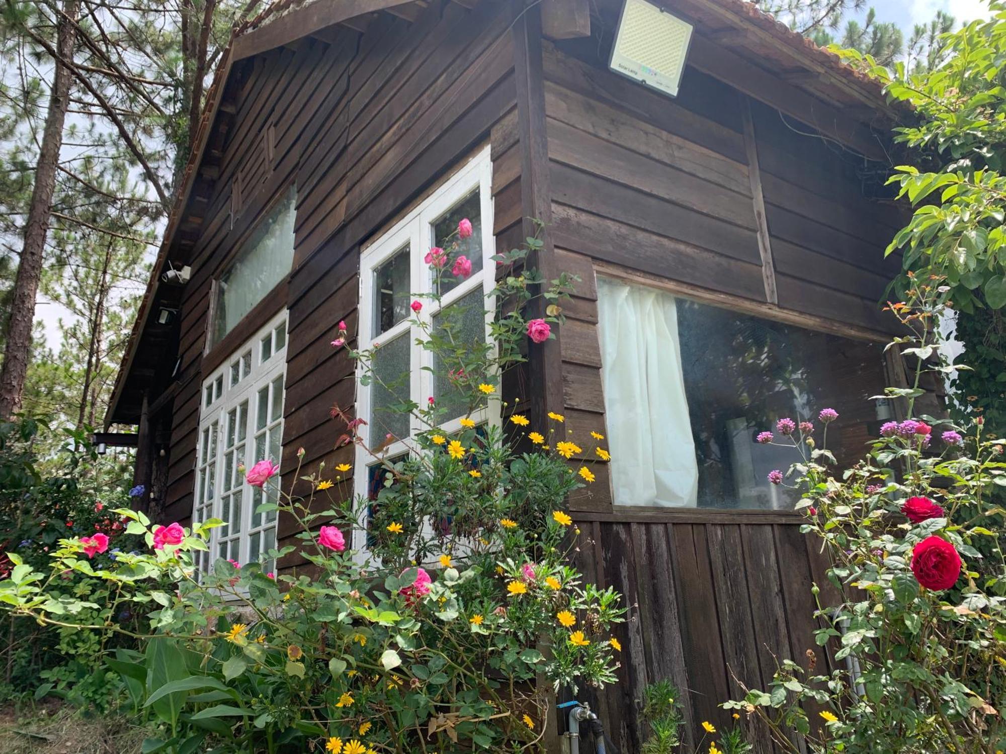 Romantic House On A Pine Hill