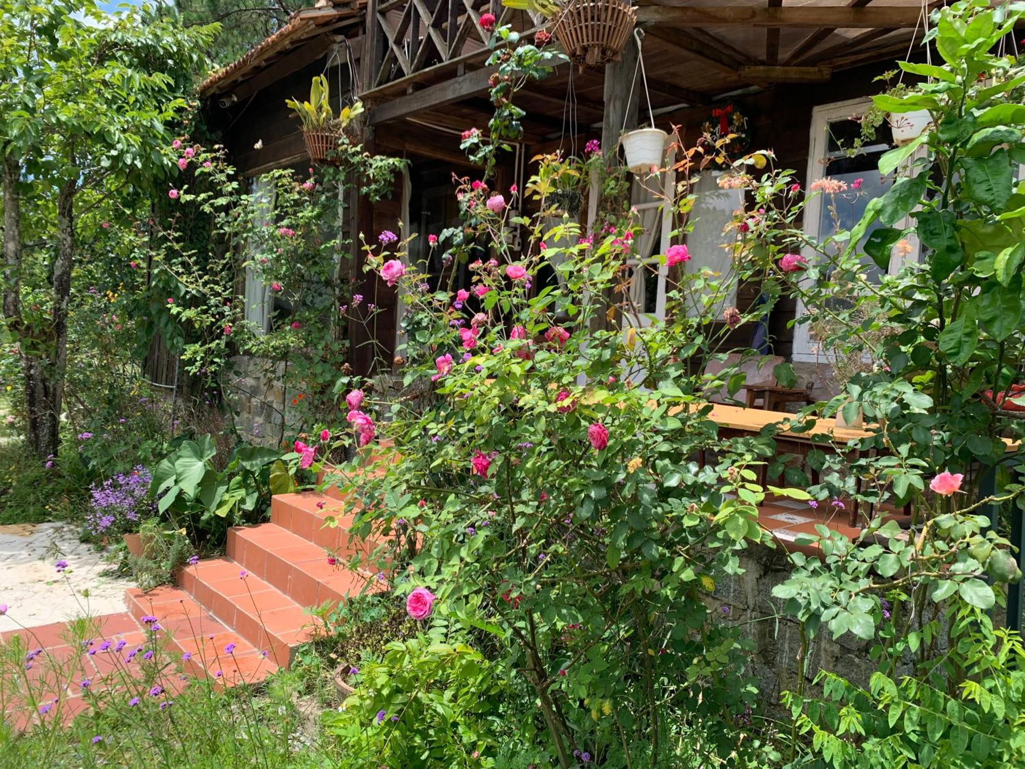 Romantic House On A Pine Hill Chalet *